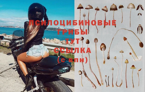 СК Абаза