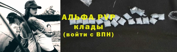 дживик Нефтекумск